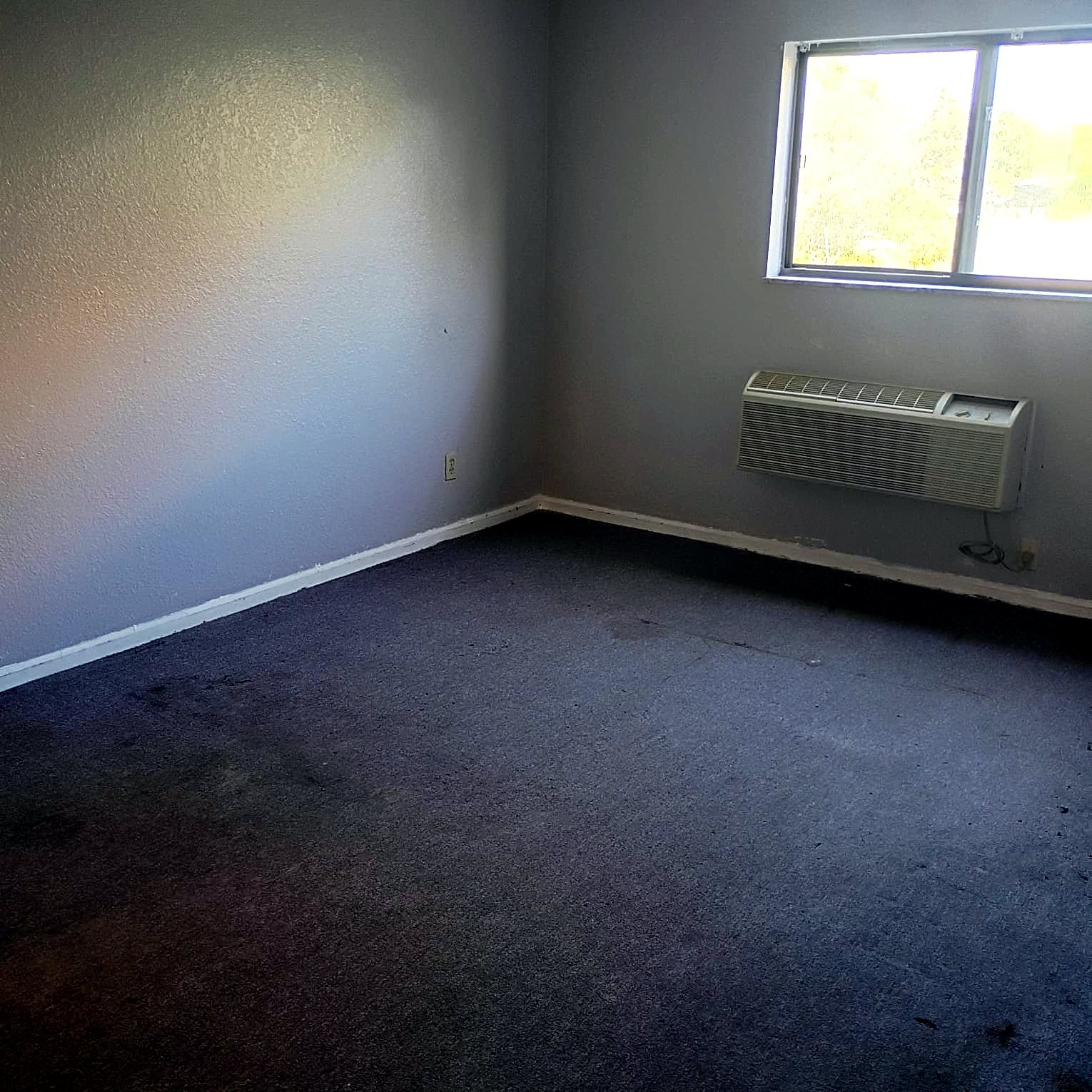 Studio Apartment at Lux Apartments #136, Toledo OH — An empty living room with gray walls, carpeted floor, and a window unit air conditioner.