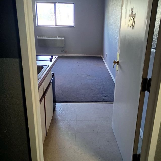 Studio Apartment at Lux Apartments #136, Toledo OH — Apartment living room with carpet and window.